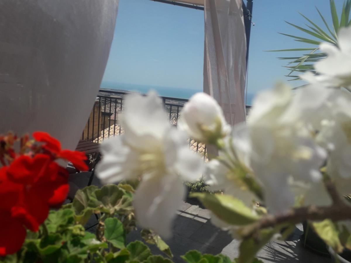 Tesori Di Girgenti Bed & Breakfast Agrigento Bagian luar foto