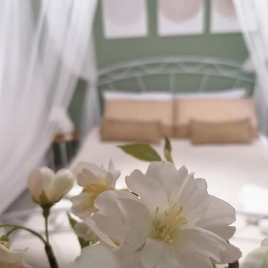 Tesori Di Girgenti Bed & Breakfast Agrigento Bagian luar foto